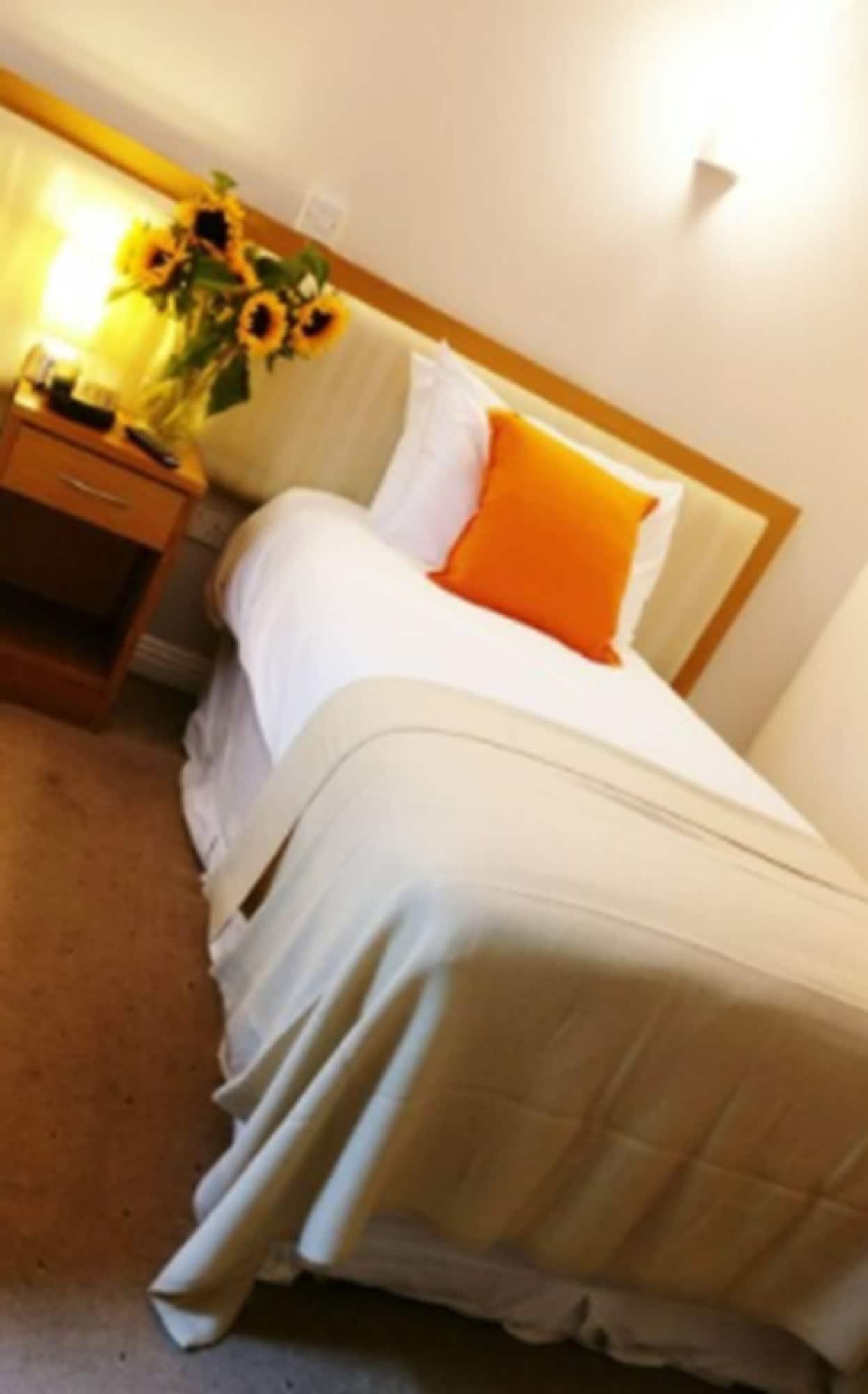 The Pier Hotel Limerick Junction Esterno foto